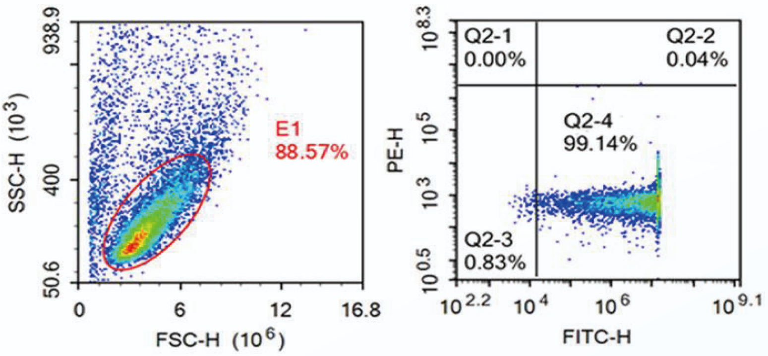 抗體1.png 抗體1.png